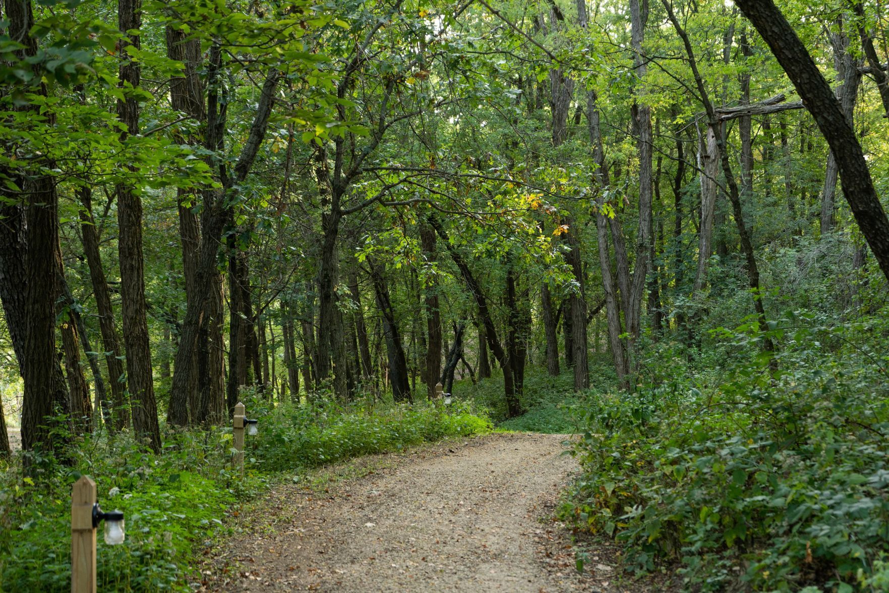 DSC09221.jpg